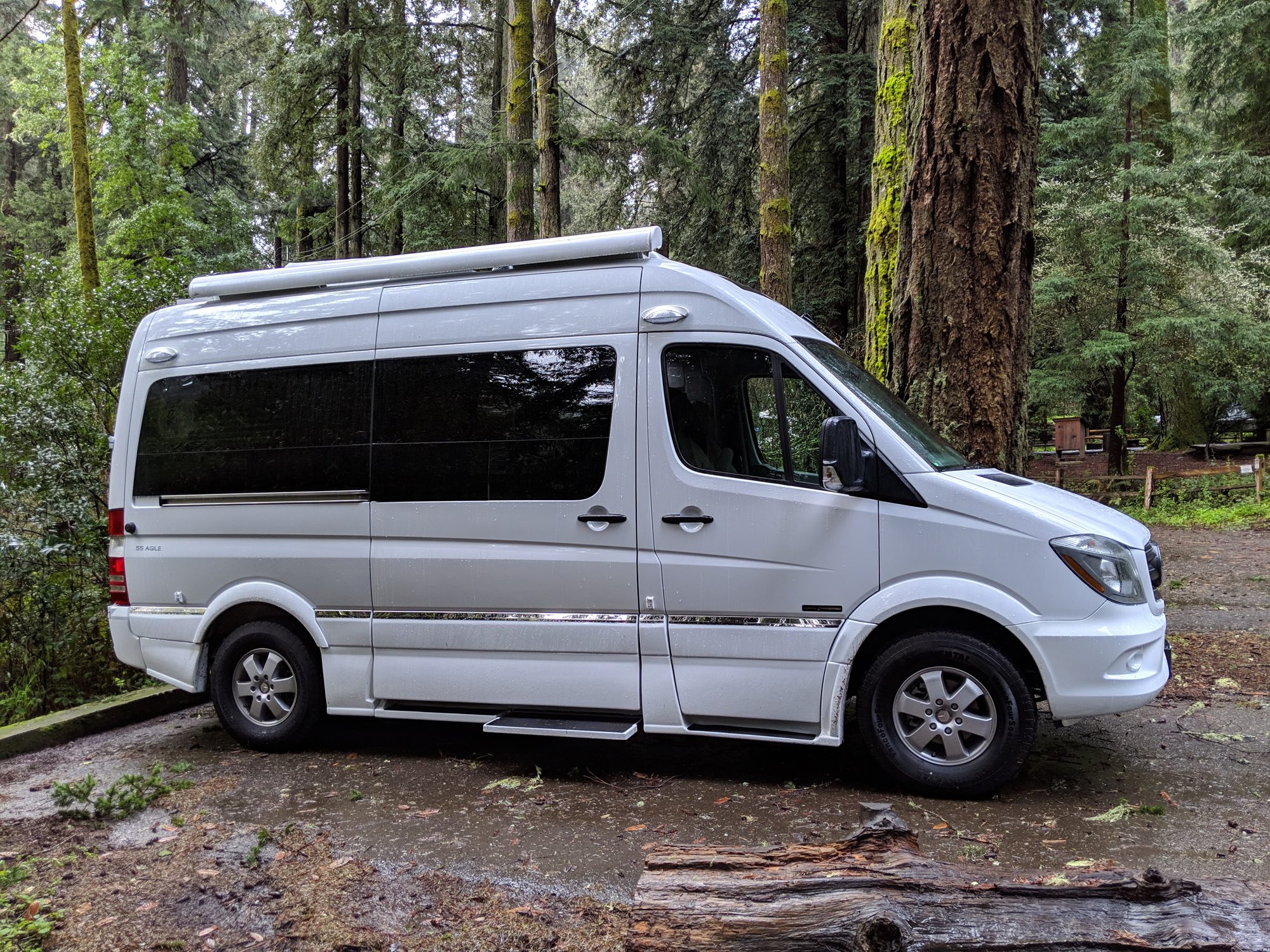 2017 Roadtrek SS Agile, side profile, parked among redwood trees